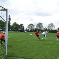 B1 Kampioen